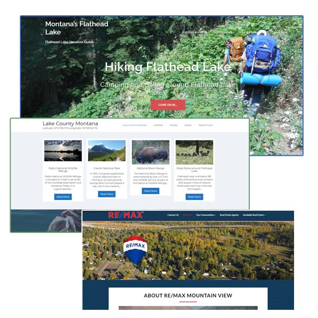 Search Engine Optimization in Ronan Montana